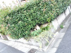 日の出時刻遅くなったのかな