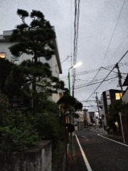 くもり空の今朝