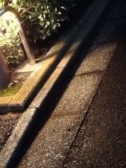 昨夜雨降ったのかなあ