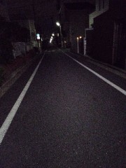 今朝　早朝散歩