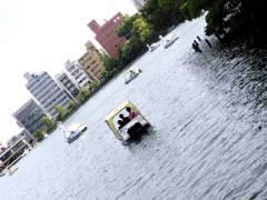 昨日は　洗足池散歩
