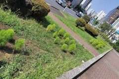 国道１号線五反田