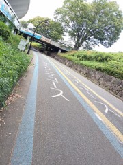 今日の駒沢公園