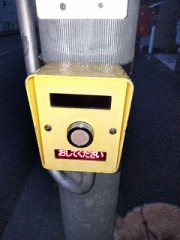 横断歩道で恥ずかしい