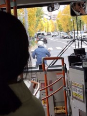 松陰神社近くのイチョウ並木