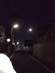 今日から楽しい1麻雀大会の始まり。