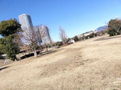 今日は公園散歩