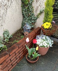 雨で早朝愛犬散歩止め