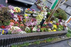 今日は三軒茶屋