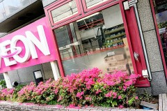 さくらの次はツツジ