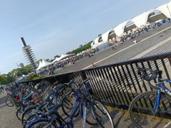 本日の駒沢公園