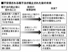 トウモロコシ爆買い
