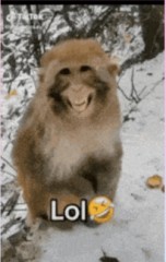 分かっちゃいるけどやめられないものは