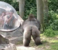 好きなカードゲーム