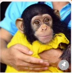 秋と聞いてイメージするものは