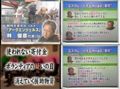 犬ちゃんの為の動物愛護団体が寄付金流用！！