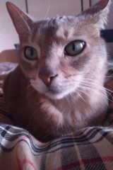 午後いかがお過ごしですか