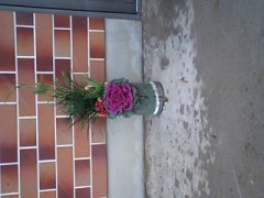 あけましておめでとうございます～