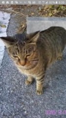 【お題日記】出会いと別れ