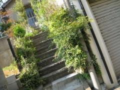 最近のわたくし。