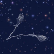 スフィンクスが何故あのような外見をしているのかについて