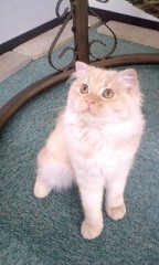 なんでよー(´-ω-` )