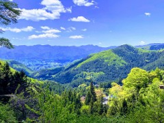 真夜中にお目々パッチリ