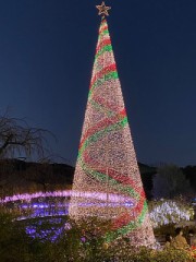 今年もまた来てしまった。