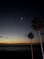 ステキな夜･･。