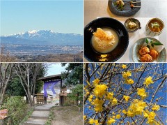 眼にもお腹にも優しいもの