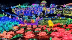 【お題日記】お年玉は何歳までもらってた？