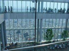 【お題日記】高い所は好き？嫌い？