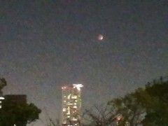 【お題日記】愛とは？