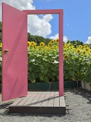 【お題日記】賢者タイム中にされたいプレイ