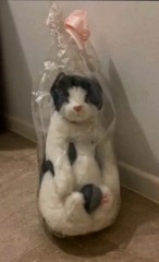 【お題日記】ずっと家にあるけどいらない物