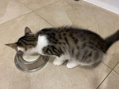 最近の近況報告