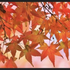 今週も無事に終わりました