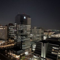 OdaibaからNihonbashi