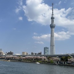 春のうららの　隅田川