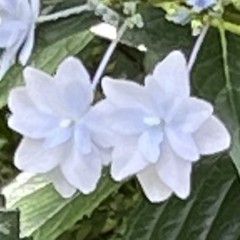 さて問題です！