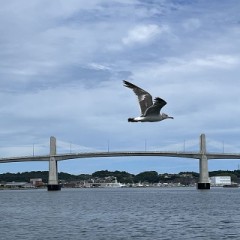 【お題日記】行ってみたい国内のスポット