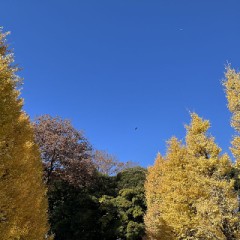 【お題日記】今年一おすすめの飲食店