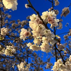 【お題日記】今一番何が欲しい？