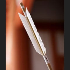 【お題日記】好きな声の芸能人