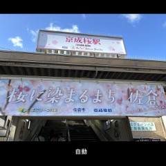 さくらでさくら