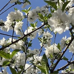 【お題日記】あなたの好きな異性の髪型は？