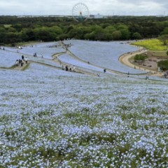 プレイバック　park2   part2