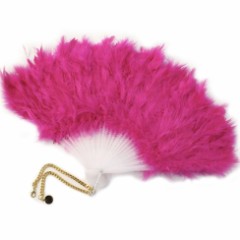 【お題日記】扇子使ってる？