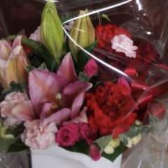 【お題日記】普段はできないけどしてみたい髪型