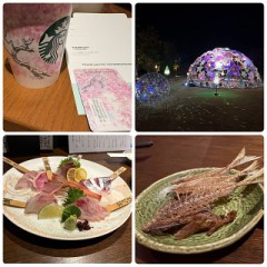 心と体の癒しの空間 1泊2日のご褒美ツアー(スパ付き)1